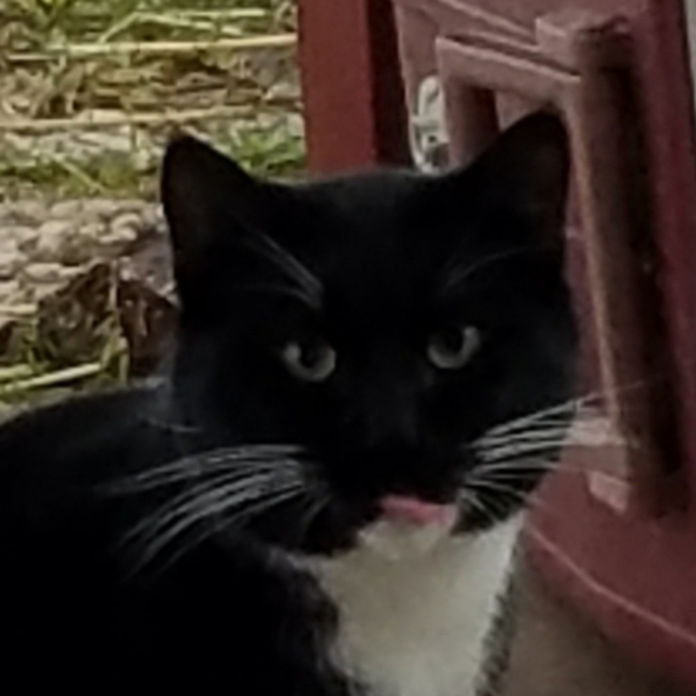 Meet your Posher, Alison